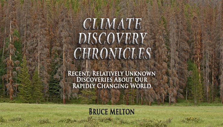 Climate Discovery Chronicles